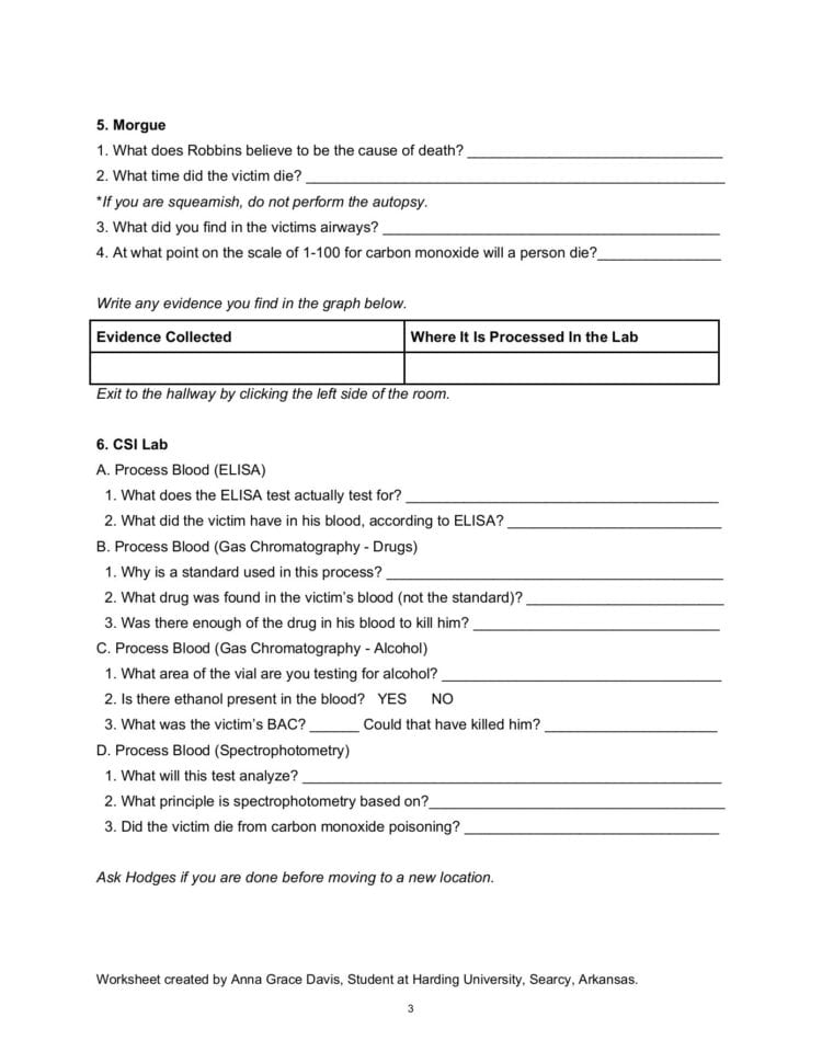 Name Date  Csi The Experience — Web Adventures Pages 1