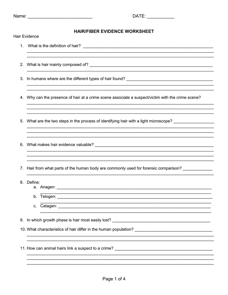 Hair And Fiber Evidence Worksheet