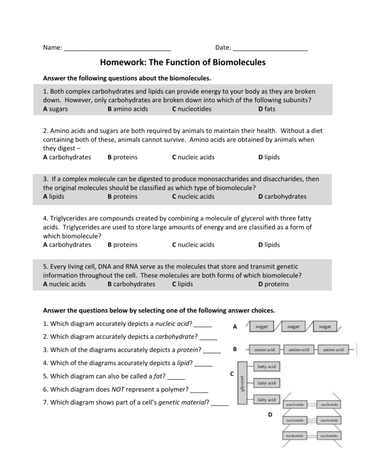 Name  Date Homework The Function Of Biomolecules Answer