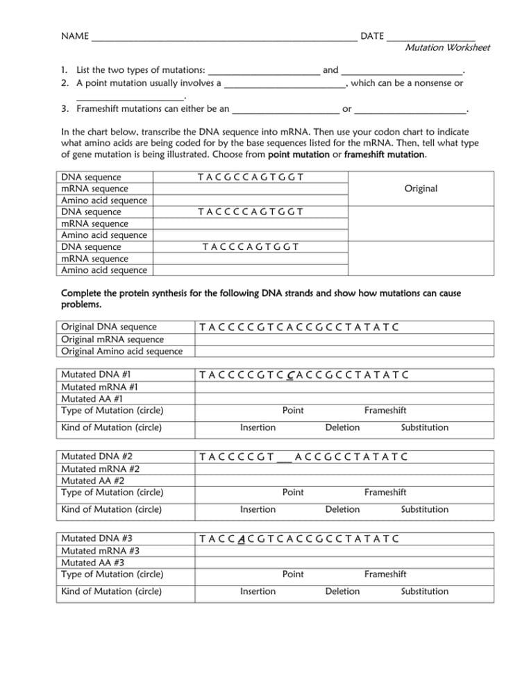 Name Date Mutation Worksheet List The Two Types Of Mutations