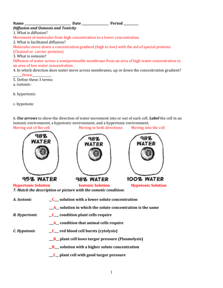 Name Date Period  Diffusion And Osmosis And Tonicity 1