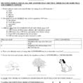 Name Date Period Photosynthesis Hw Review Energy And Life  Pdf