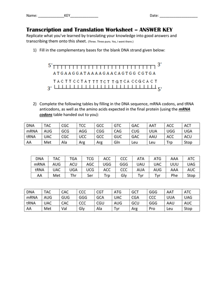 Name Date Transcription And Translation Worksheet – Answer — db-excel.com
