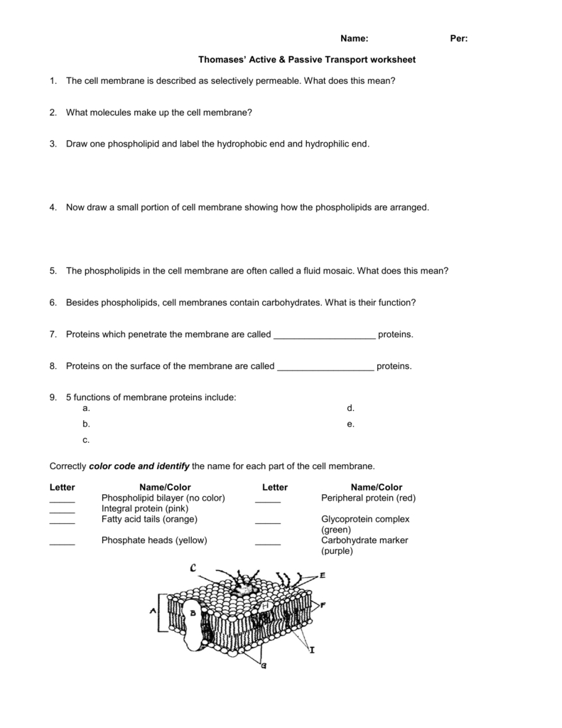 Name Per Thomases' Active  Passive Transport Worksheet 1 The