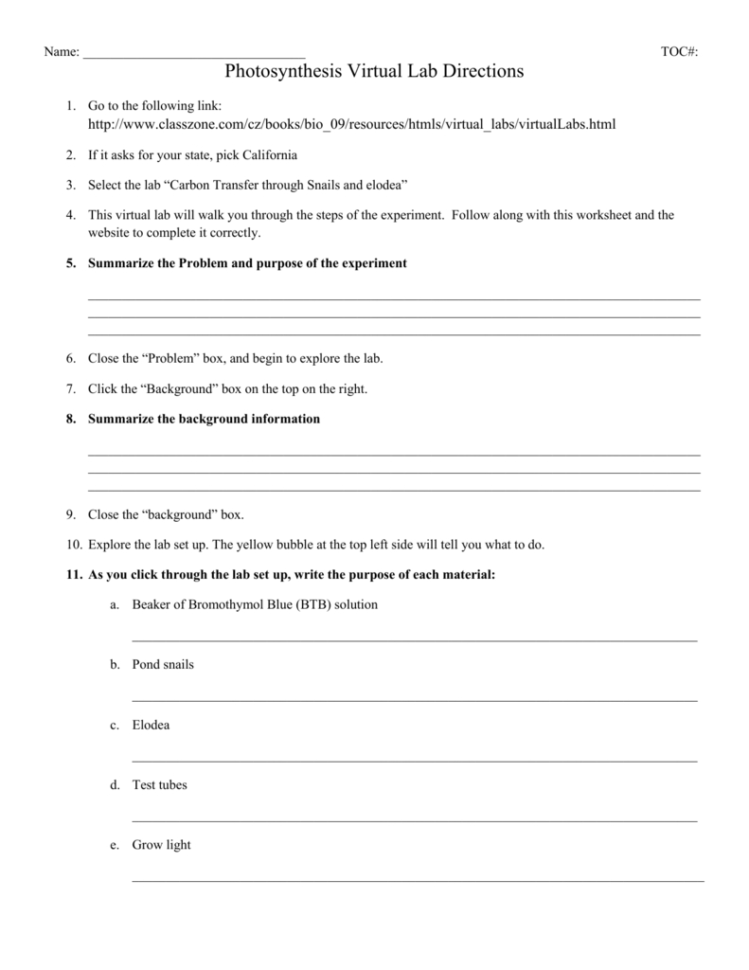 Name Toc Photosynthesis Virtual Lab Directions Go To The