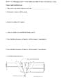 Name Unit Two Flowers And Plant Life Cycles Review Worksheet