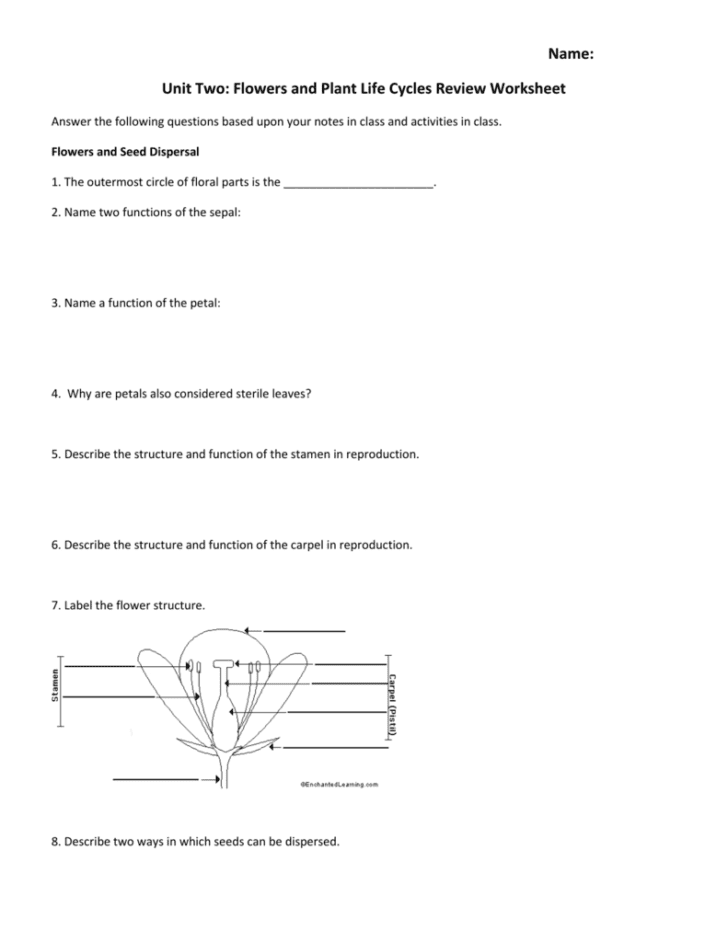 Plant Reproduction Worksheet Answers