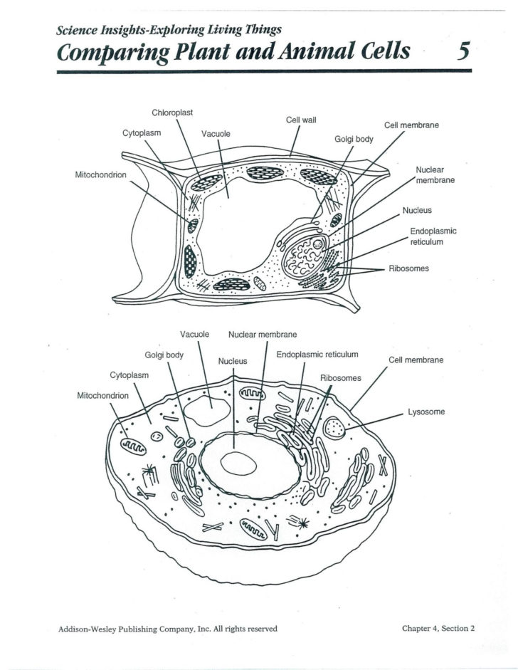 Bill Nye Light Optics Worksheet Answers