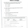 National Geographic Inside The Womb Multiples Worksheet
