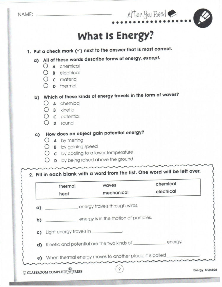 National Geographic Inside The Womb Multiples Worksheet