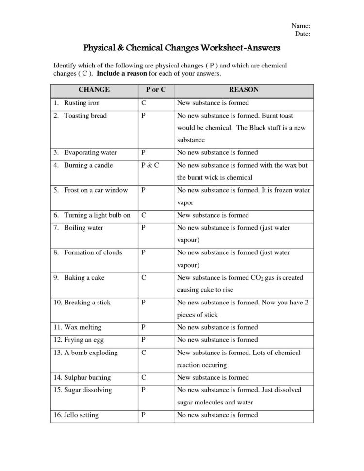 National Geographic Inside The Womb Multiples Worksheet