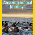 National Geographic Readers Great Migrations Amazing Animal