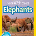 National Geographic Readers Great Migrations Elephants