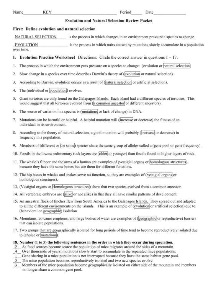 Natural Selection And Peppered Moths