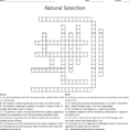 Natural Selection Crossword  Word