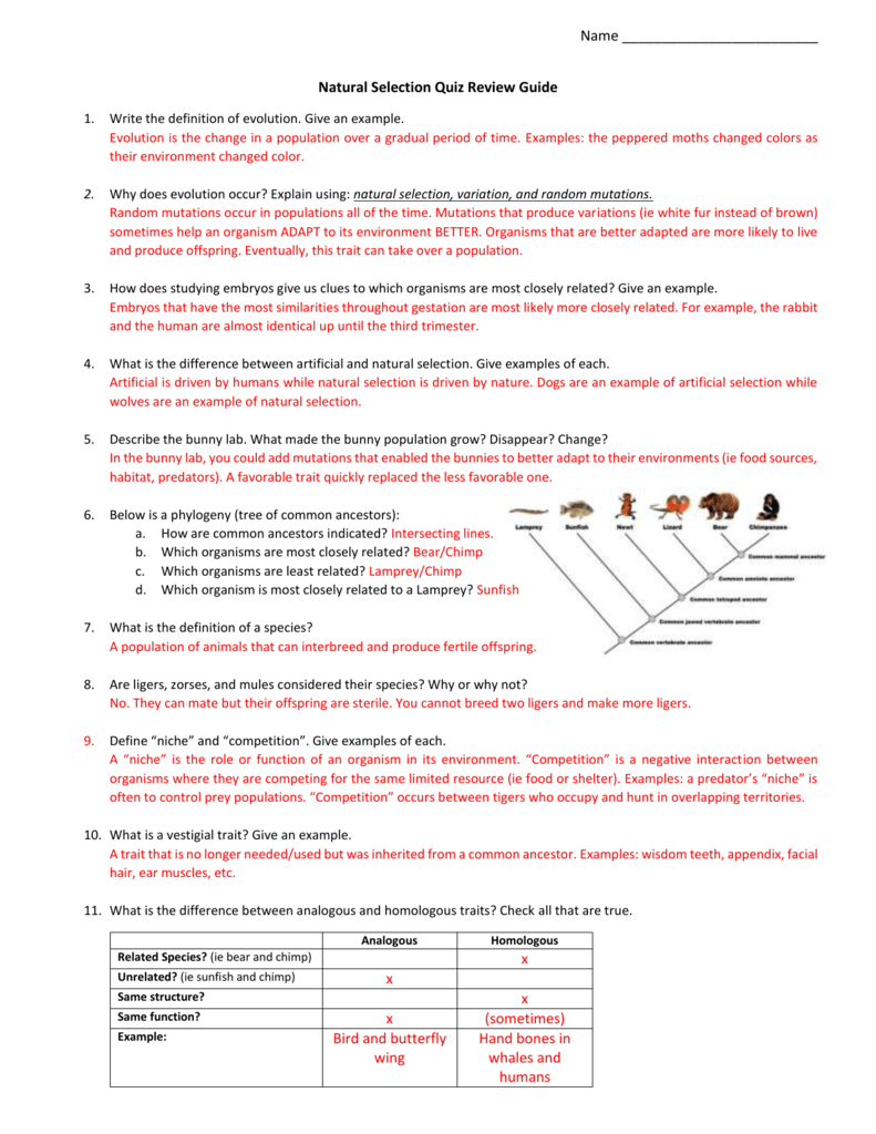 Natural Selection Quiz Review Guide Answer Key 2 Db excel