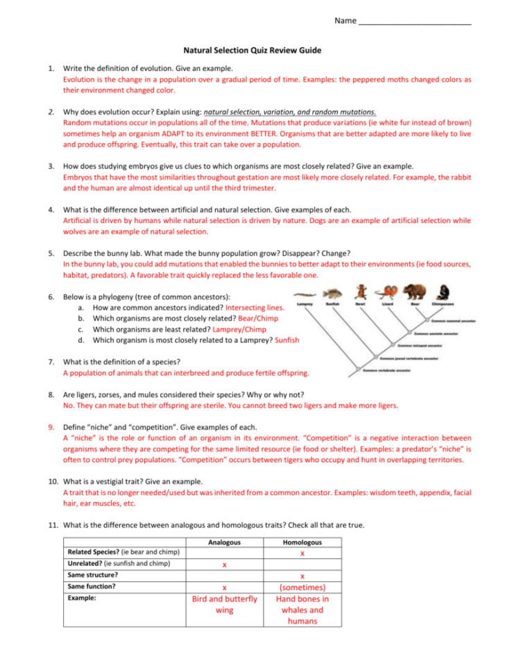 Evolution By Natural Selection Worksheet Answers