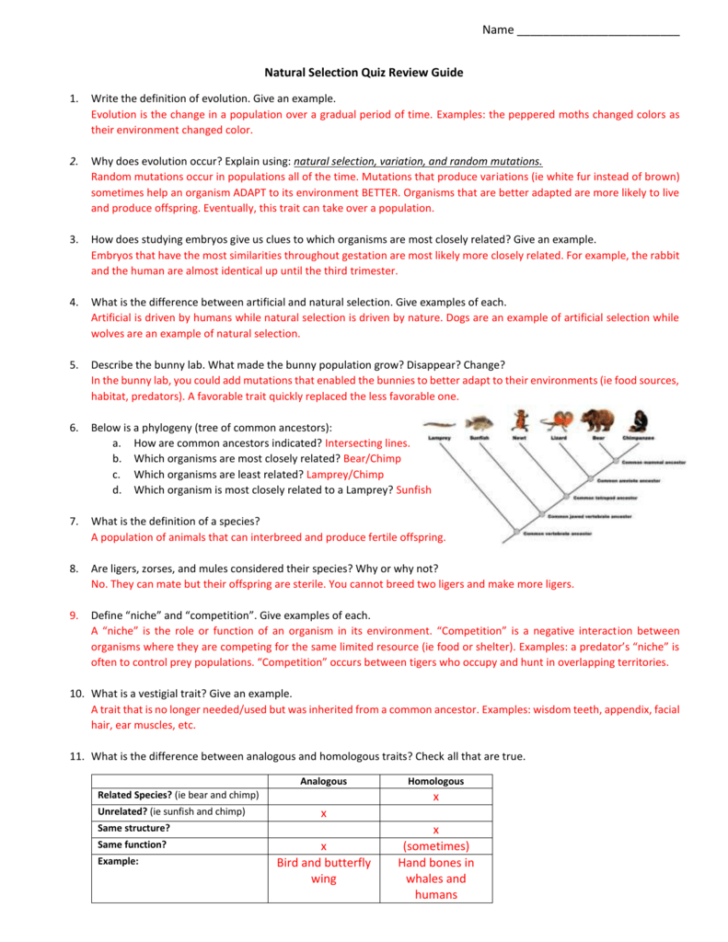 Natural Selection Worksheet