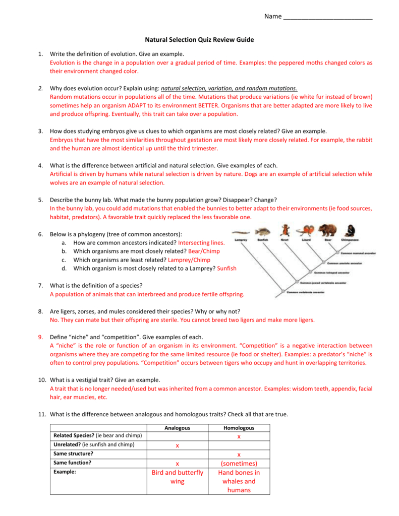 Natural Selection Quiz Review Guide Answer Key 2
