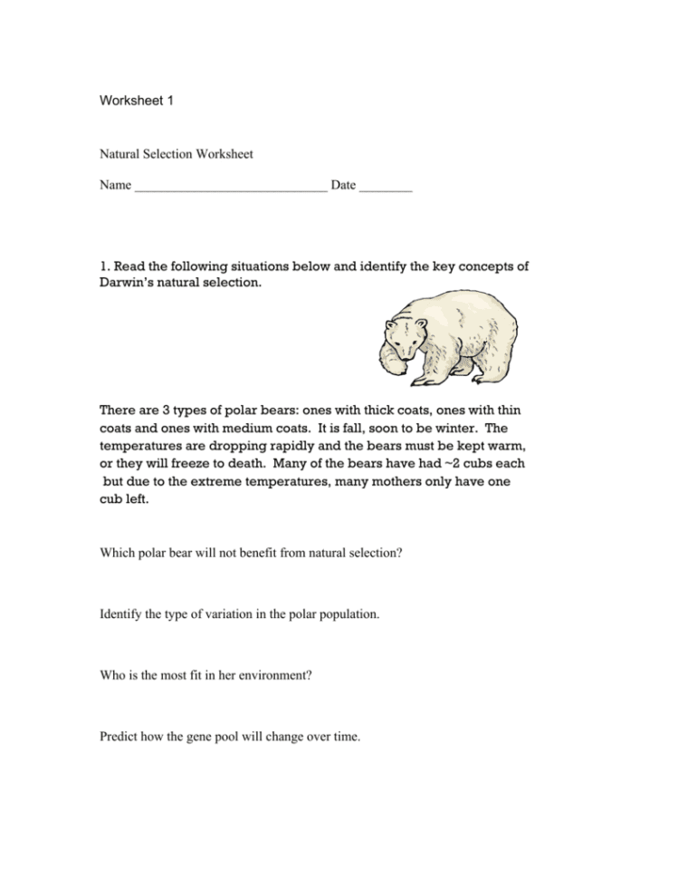 Natural Selection Worksheet 1  Summer Research Program For