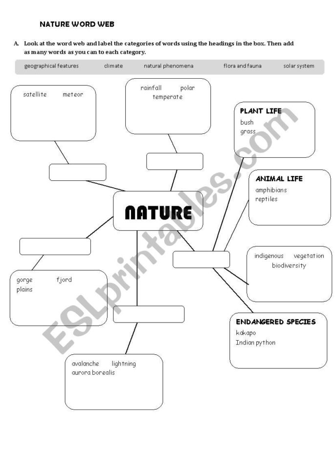 Nature Mindmap  Esl Worksheetjull367