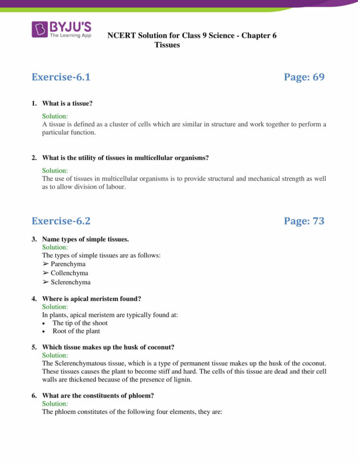 Chapter 6 The Chemistry Of Life Worksheet Answer Key