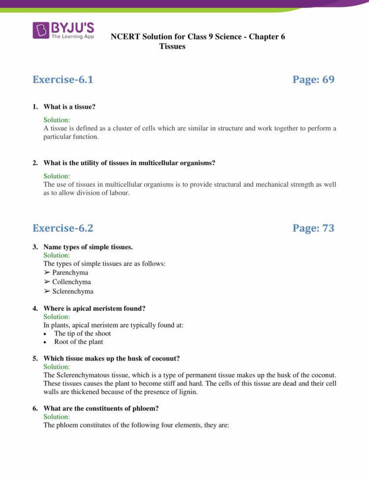 chapter-6-the-chemistry-of-life-worksheet-answer-key-db-excel