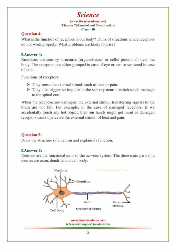 Ncert Solutions For Class 10 Science Chapter 7 Control And