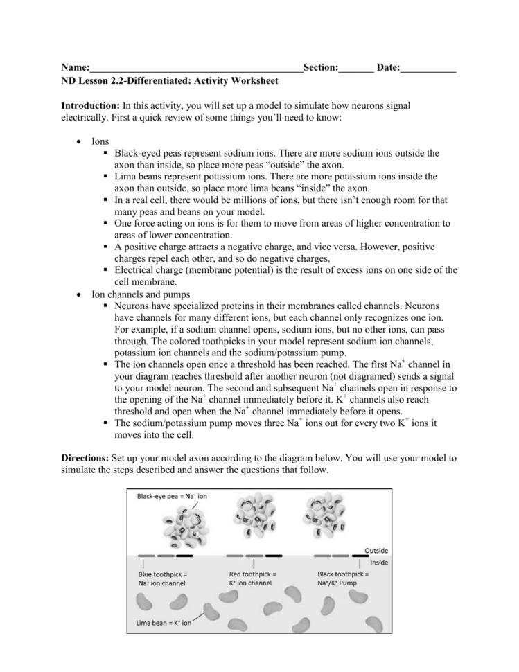 Nd Lesson 22Differentiated