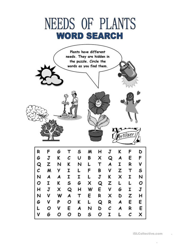 Needs Of Plants Word Search  English Esl Worksheets