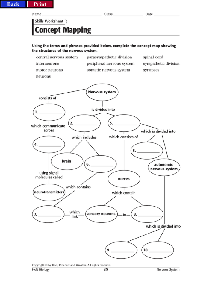 Nervous System — db-excel.com