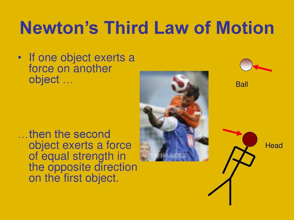 Newton's Second Law Of Motion Worksheet Answers Physics Classroom