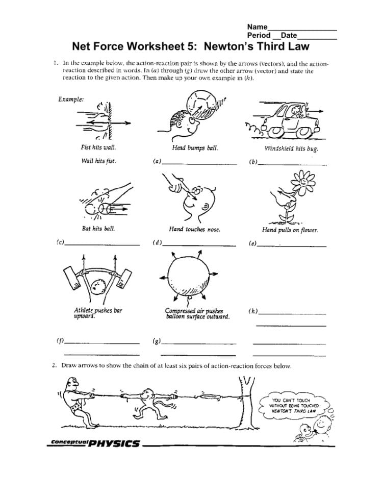 Newton's Third Law Net Force Worksheet 5 Name