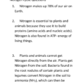 Nitrogen Cycle Homework Answer Key