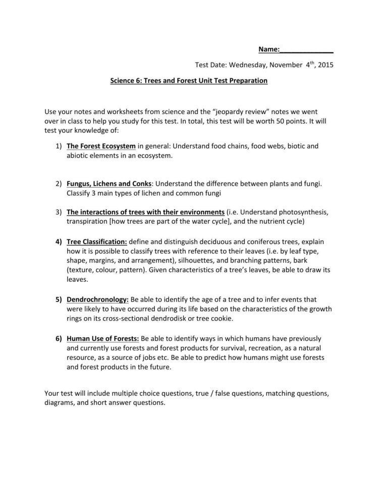 Nitrogen Cycle Worksheet Answer Key