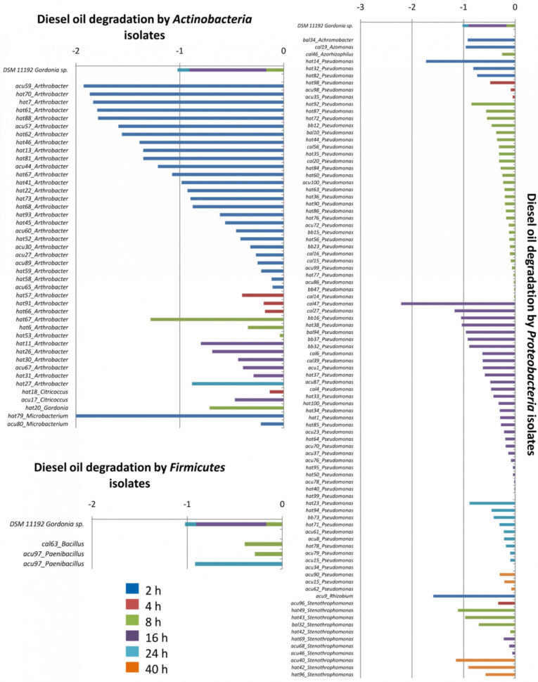 Nm Child Support Worksheet 3Rd Grade Worksheets Balancing