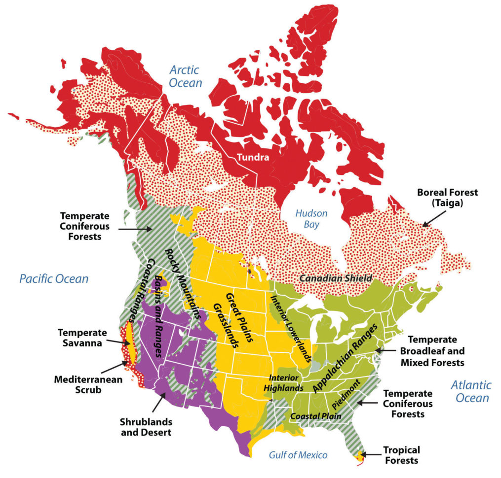 North America