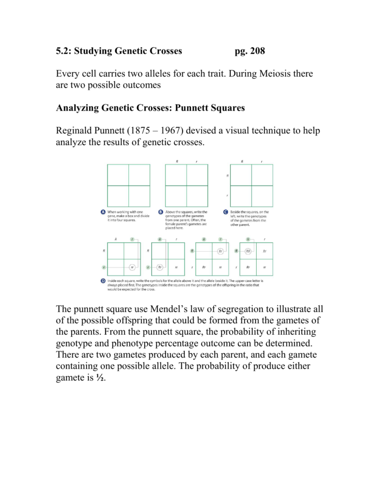 Notes 52 Studying Genetic Crosses