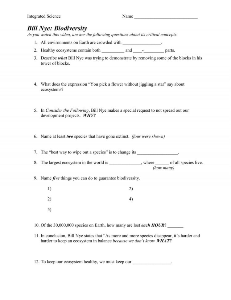 Nova Magnetic Storm Worksheet Answers — db-excel.com
