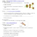 Nuclear Fission And Fusion Fission And Fusion Worksheet For