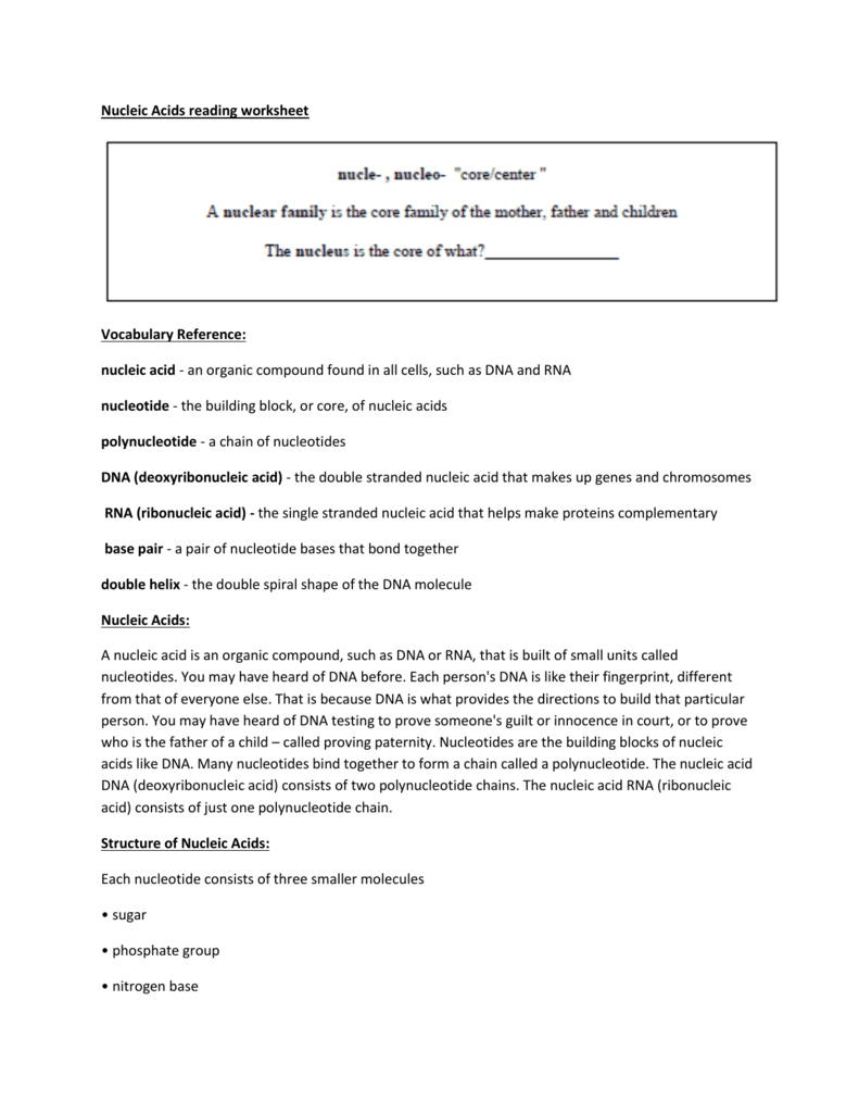 Nucleic Acids Reading Worksheet Vocabulary Reference Nucleic