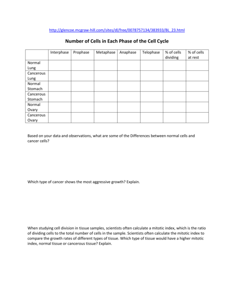 Number Of Cells In Each Phase Of The Cell Cycle Interphase