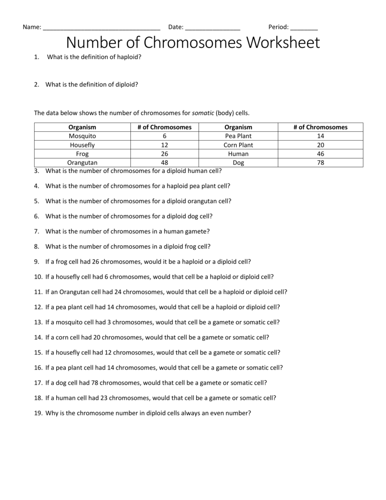 chromosome-worksheet-answer-key-db-excel