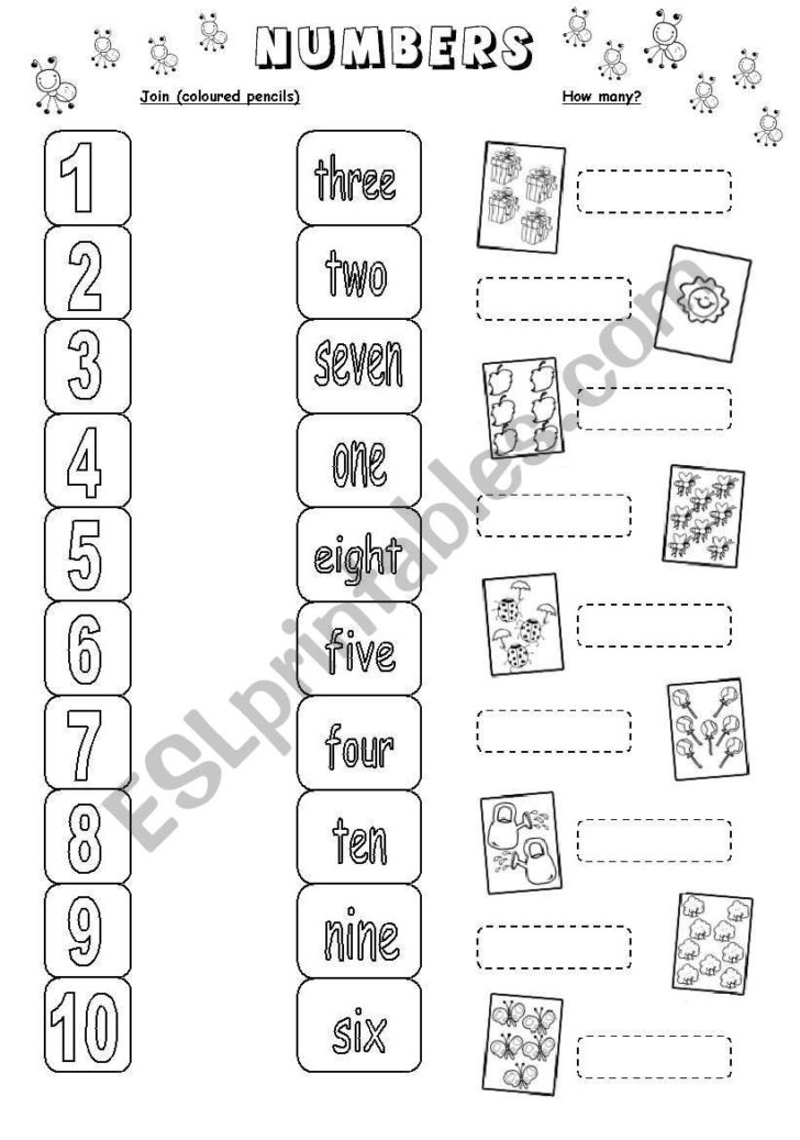 Numbers 1 10 Worksheets