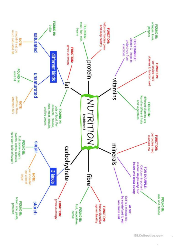 Nutrition Nutrients Mind Map And Exercises  English Esl
