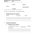 Ny Parenting Plan  Fill Online Printable Fillable Blank