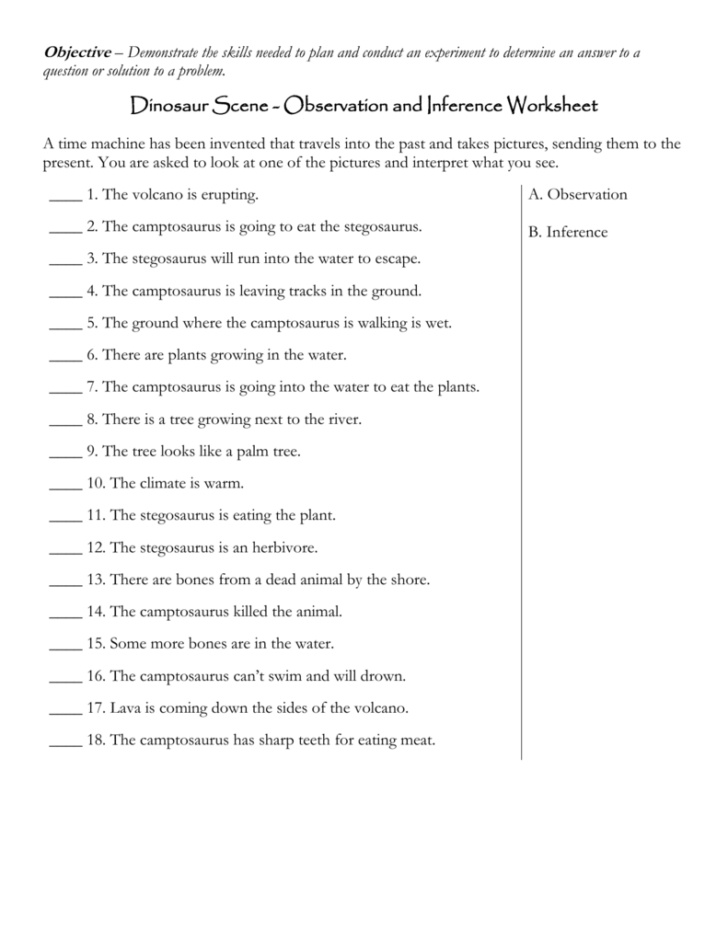 Observation And Inference Worksheet Answer Key — db-excel.com