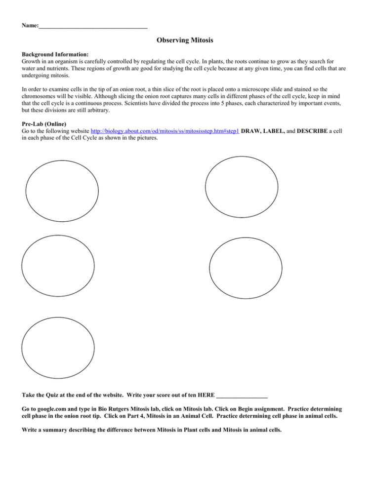 Observing Mitosis Lab