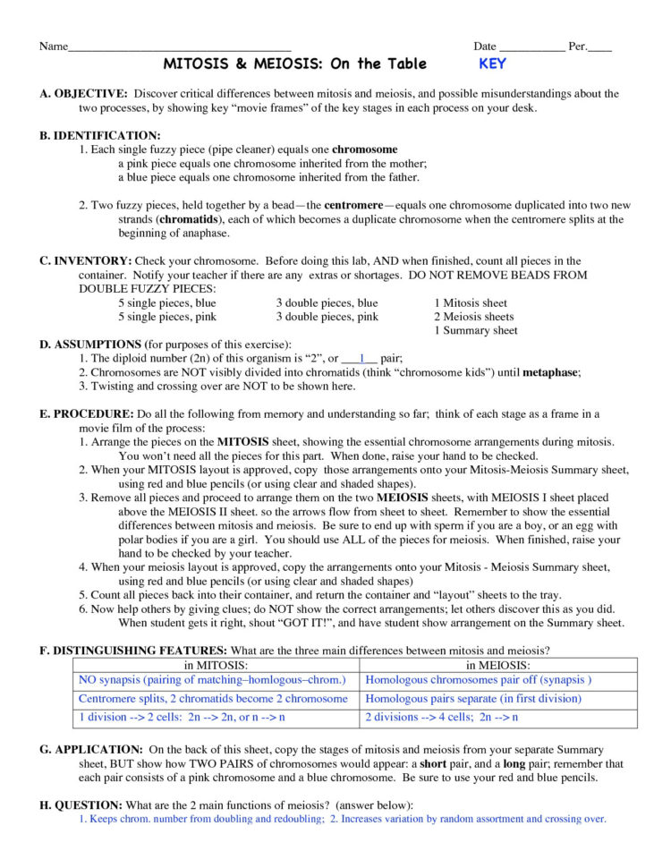 Onion Cell Arizona Archives • Worksheetforall