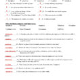 Onion Cell Mitosis Worksheet Key